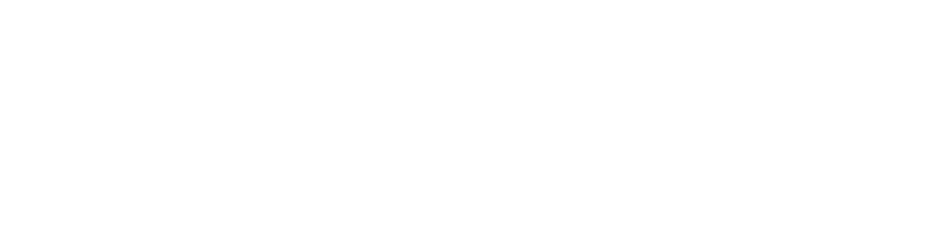 DJ Roni Logo